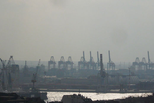 Hafenkrne im Frhling 2009