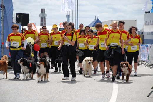 ASB mit Hunden beim HSH Nordbank Run 2009