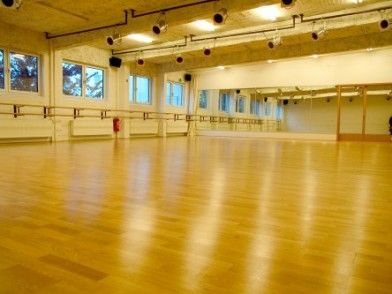 Trend Move Specials, Tanzworkshops & Pdagogenseminare - dance institute hamburg - Gina Workshops