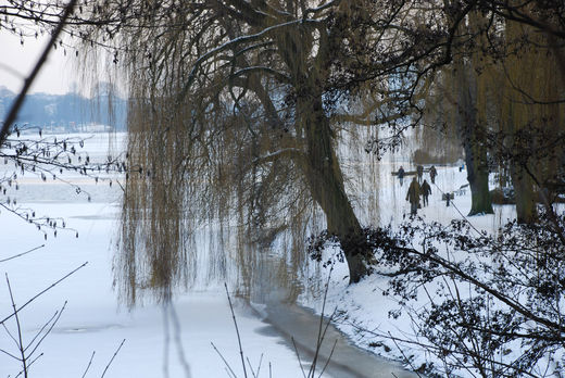 Nrdliches Alsterufer Winter 2010