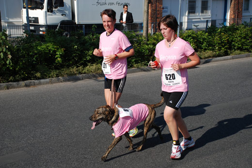 Hund beim Womens Run 2008