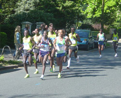Fr die Marathonlufer werden am Sonntag zahlreiche Strassen in Hamburg gesperrt.